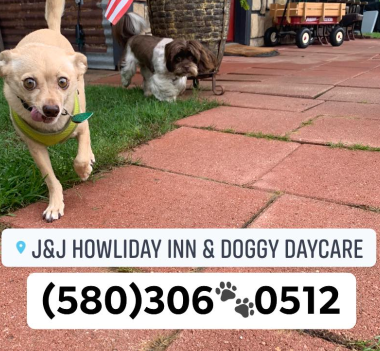 Things To Do J&J Howliday Inn 